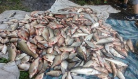 У заказнику на Полтавщині затримали людей із 346 кг риби